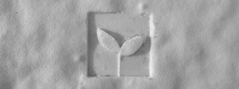 kushi-riki-snow-logo-800